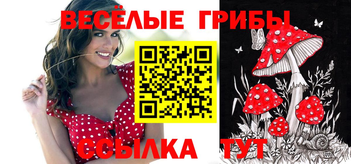 Старая Купавна  Псилоцибиновые грибы мицелий  Вход с VPN  Псилоцибиновые грибы Psilocybine cubensis 