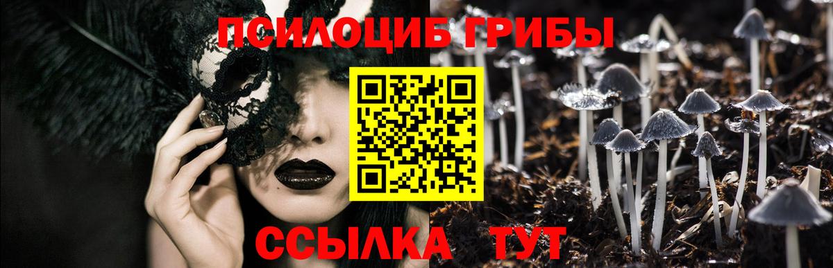 Псилоцибиновые грибы прущие грибы Старая Купавна
